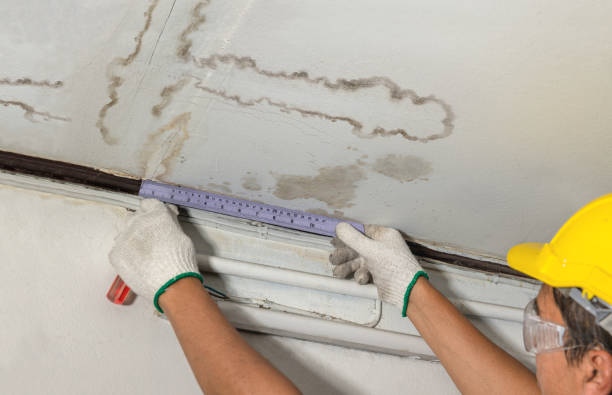 Reliable Burst Pipe Cleanup contractor in Desdemona, TX by Water Damage Irwin